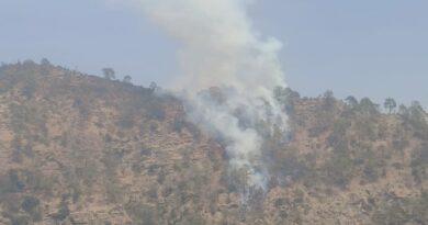 केदारनाथ वन्यजीव अभ्यारण्य के रेल बीट क्षेत्र में भीषण जंगल की आग, वन संपदा जलकर राख, वन्यजीवों पर संकट