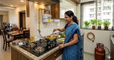 PNG कनेक्शन वाले घरों को अब नहीं मिलेगा घरेलू LPG सिलेंडर: सरकार का बड़ा फैसला