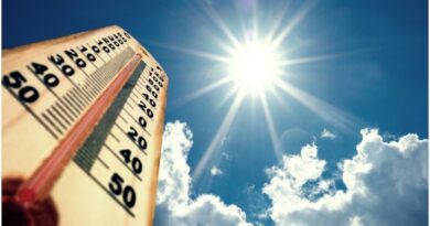 ​भीषण गर्मी और हीटवेव: देश के प्रमुख राज्यों का हाल