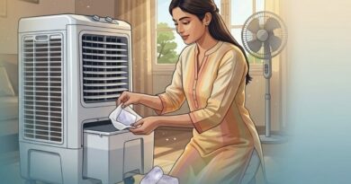 कूलर के पानी में फिटकरी क्यों डालनी चाहिए और इसके क्या फायदे, जानिये