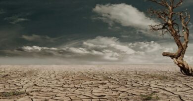 ​सावधान: भारत पर मंडराया ‘अल नीनो’ का साया, 45 डिग्री के टॉर्चर के बीच सूखे का अलर्ट