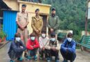 केदारनाथ यात्रा मार्ग पर मारपीट करने वालों पर रुद्रप्रयाग पुलिस का एक्शन: 5 घोड़ा-खच्चर संचालक हिरासत में, लाइसेंस निरस्त करने की तैयारी