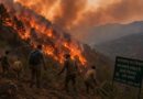 उत्तराखंड में वनाग्नि की घटनाओं में कमी: जानिए क्या रही वन विभाग की रणनीति और ‘जन सहभागिता’ मॉडल
