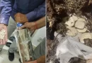 ​’ऑपरेशन RAGEPILL’ में NCB को बड़ी कामयाबी: पहली बार जब्त हुई ₹182 करोड़ की ‘जिहादी ड्रग’ कैप्टागॉन, अमित शाह ने दिया कड़ा संदेश