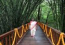 देहरादून को मिलेगी बड़ी सौगात: नवंबर तक तैयार होगा राष्ट्रपति द्रौपदी मुर्मू का ड्रीम प्रोजेक्ट ‘राष्ट्रपति उद्यान’, CPWD संभाल रहा है कमान
