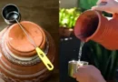 भीषण गर्मी में फ्रिज-कूलर को मात दे रहे हैं मिट्टी के पारंपरिक बर्तन, बिना बिजली पानी को रखते हैं 8-10 डिग्री तक ठंडा