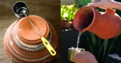 भीषण गर्मी में फ्रिज-कूलर को मात दे रहे हैं मिट्टी के पारंपरिक बर्तन, बिना बिजली पानी को रखते हैं 8-10 डिग्री तक ठंडा