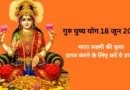 गुरु पुष्य नक्षत्र का महासंयोग: 18 जून को हल्दी के इन 3 आसान उपायों से चमकेगी किस्मत, बरसेगी मां लक्ष्मी की कृपा