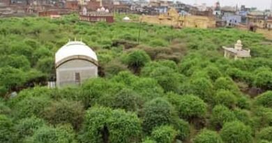 रहस्य और आस्था का केंद्र: जानिए वृंदावन के निधिवन की वो मान्यताएं जो आज भी हैं कौतूहल का विषय