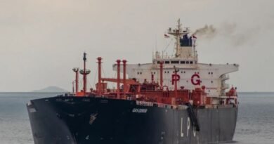 ईरान के समुद्री इलाके में LPG टैंकर पर हमला: जहाज पर सवार 28 भारतीय क्रू मेंबर सुरक्षित, तेहरान स्थित भारतीय दूतावास ने की पुष्टि  