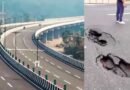 दिल्ली-देहरादून एक्सप्रेसवे पर सड़क धंसने से मचा हड़कंप, NHAI का बड़ा एक्शन; प्रोजेक्ट मैनेजर समेत कई सस्पेंड