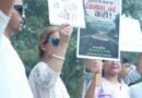 भनियावाला-ऋषिकेश सड़क परियोजना: राहुल गांधी की एंट्री के बाद बैकफुट पर धामी सरकार, 3000 पेड़ों के कटान पर लगी रोक; कांग्रेस ने बताया बड़ी जीत