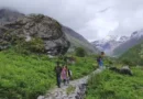 फूलों की घाटी में पर्यटकों का रिकॉर्ड आगमन: 40 दिनों में 10 हजार पार, पिछले साल से दोगुनी हुई आमद