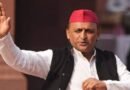 अखिलेश यादव बोले- परिवारवाद के कुछ फायदे भी हैं, इसी वजह से नहीं टूटी समाजवादी पार्टी