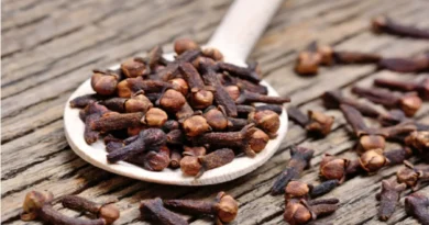 लौंग के फायदे: छोटा सा मसाला, सेहत के लिए कई तरह से फायदेमंद