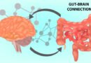 क्या पेट की सेहत का डिप्रेशन से है सीधा संबंध? जानिए Gut-Brain Axis क्या है