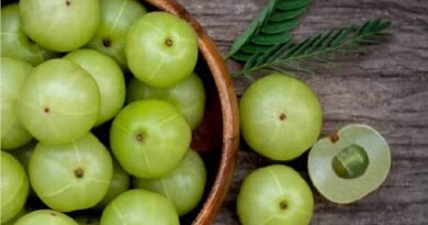 आंवला: विटामिन-C से भरपूर फल, जानिए सेहत के लिए कितने फायदेमंद हैं इसके सेवन