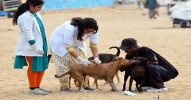 विश्व रेबीज दिवस: इतिहास, उद्देश्य, खतरे और रोकथाम के उपाय; डब्ल्यूएचओ के आंकड़े और महत्वपूर्ण जानकारी