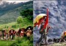 मां नंदा की ‘बड़ी लोकजात यात्रा’ 5 सितंबर को कुरुड़ से होगी रवाना: 20 सितंबर को होमकुंड में होगी विदाई; जानें 2027 में क्यों होगी मुख्य नंदा देवी राजजात