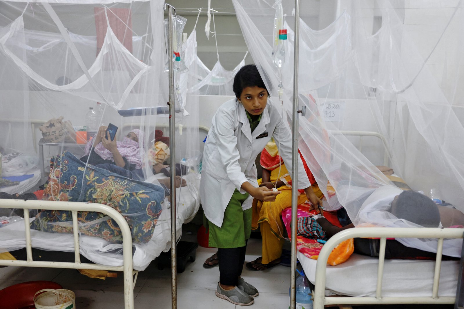 बांग्लादेश में डेंगू का प्रकोप बेकाबू: सितंबर के पहले 13 दिनों में 52 मौतें, स्वास्थ्य सेवाओं पर मंडराया संकट