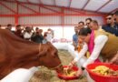सीएम धामी ने खटीमा में किया ₹7.23 करोड़ की गौशाला का लोकार्पण, ₹108.84 करोड़ की विकास योजनाओं की सौगात