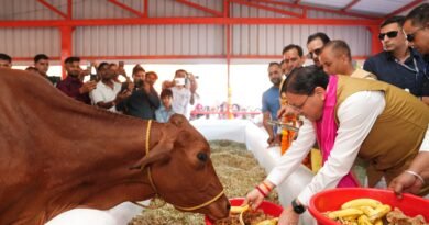 सीएम धामी ने खटीमा में किया ₹7.23 करोड़ की गौशाला का लोकार्पण, ₹108.84 करोड़ की विकास योजनाओं की सौगात