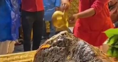 केदारनाथ गर्भगृह का रील वीडियो वायरल, बद्री-केदार मंदिर समिति ने दिए जांच और कार्रवाई के निर्देश