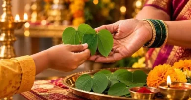 विजयादशमी और ‘सोना पत्ती’ की परंपरा: कचनार के पत्तों के आदान-प्रदान का महत्व और इसके अद्भुत आयुर्वेदिक गुण