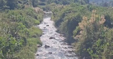 उत्तराखंड की हेंवल नदी की चर्चा: चिपको आंदोलन से प्रेरित ग्रामीणों ने ऐसे दी जीवनधारा को नई जिंदगी