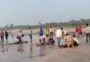 महाराष्ट्र के रायगढ़ में बड़ा हादसा: दिवेआगर बीच पर समुद्र में नहाने के दौरान पुणे के 8 छात्र डूबे, सभी के शव बरामद