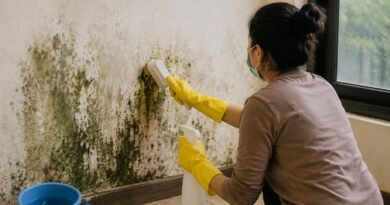 बाथरूम की फफूंदी (Mold) से छुटकारा पाने के असरदार घरेलू उपाय और बचाव के तरीके